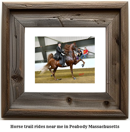 horse trail rides near me in Peabody, Massachusetts